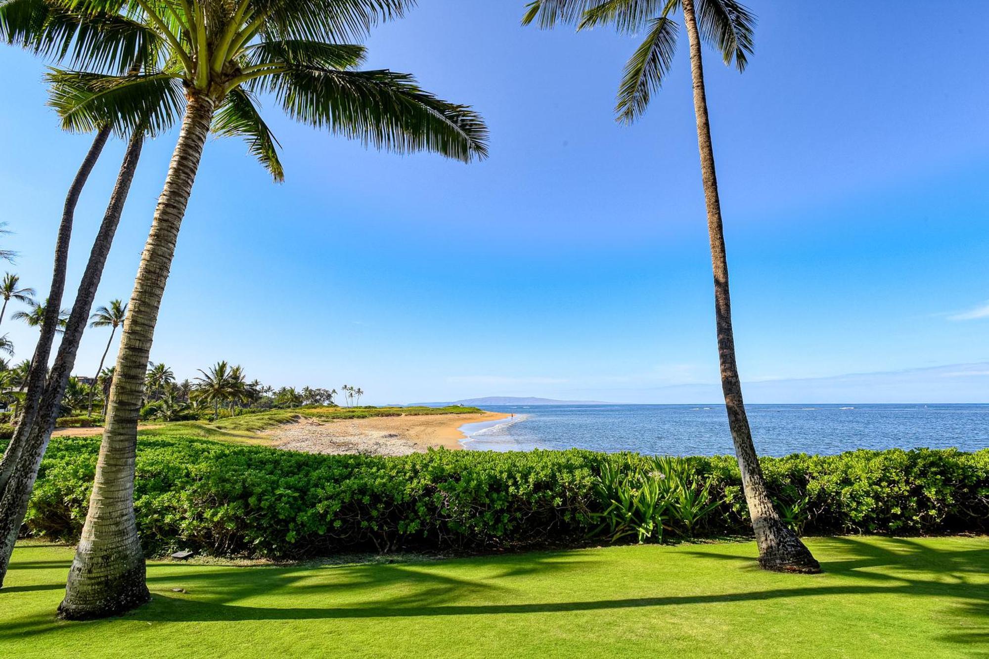 Menehune Shores Kihei Room photo