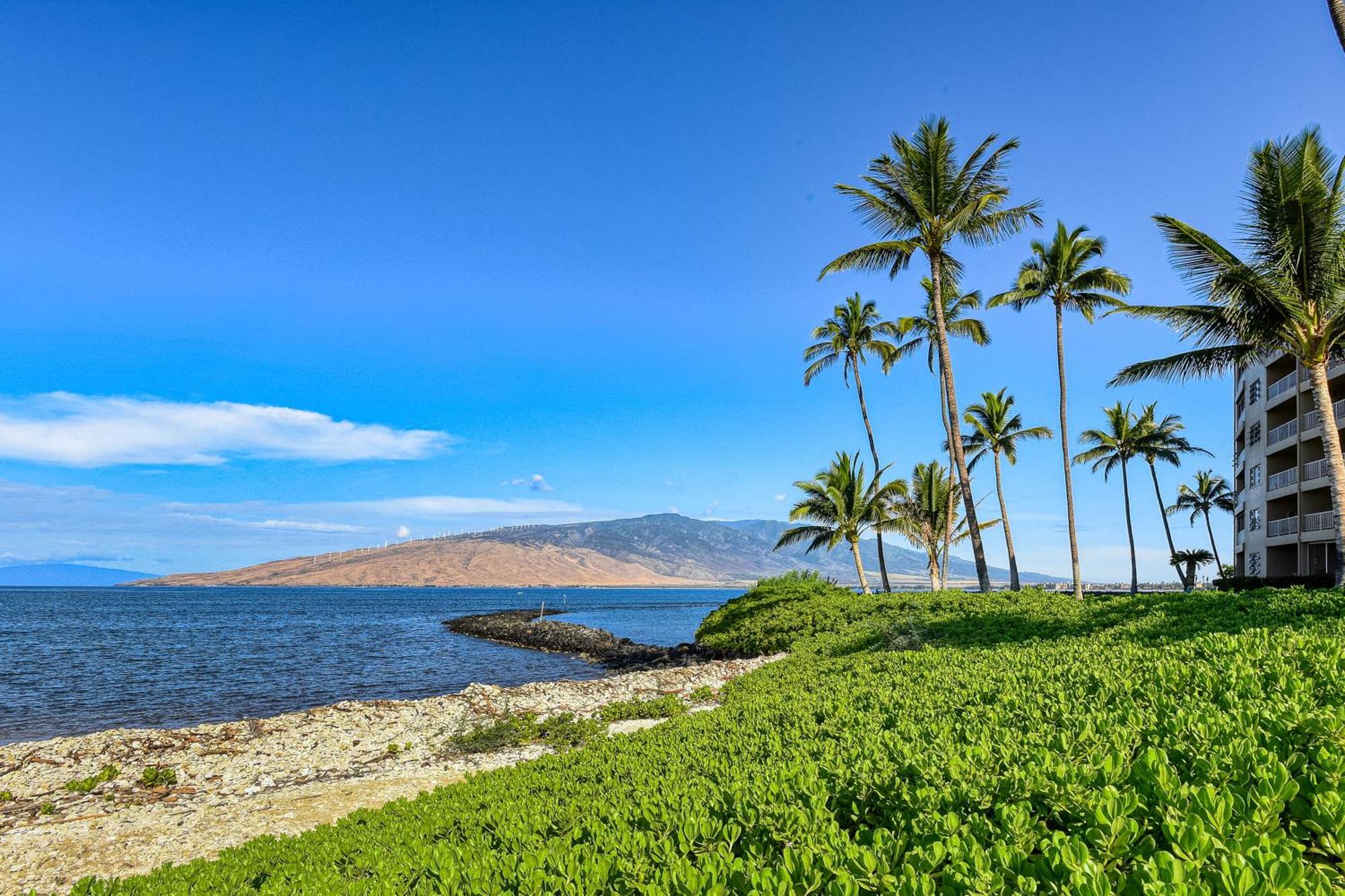 Menehune Shores Kihei Room photo